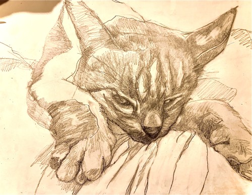 Mieke Hendriks van Hendriks Art in Delden